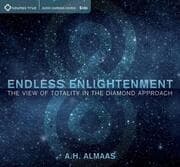 Cover von Endless Enlightenment