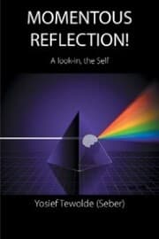 Cover von Momentous Reflection!