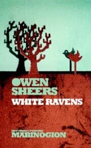 Cover von White Ravens