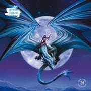 Cover von Puzzle - Anne Stokes, Mondstein
