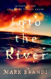 Cover von Into the River