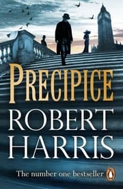 Cover von Precipice