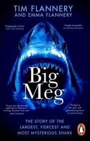 Cover von Big Meg