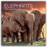 Cover von Elephants - Elefanten 2025 - 16-Monatskalender