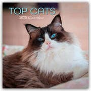 Cover von Top Cats - Top-Katzen 2025 - 16-Monatskalender