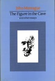 Cover von The Figure in the Cave