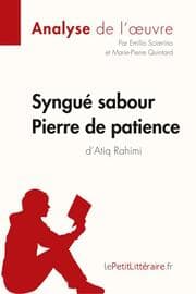 Cover von Syngué Sabour. Pierre de patience d'Atiq Rahimi (Analyse de l'oeuvre)