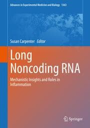 Cover von Long Noncoding RNA