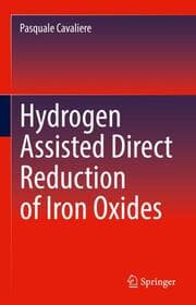 Cover von Hydrogen Assisted Direct Reduction of Iron Oxides