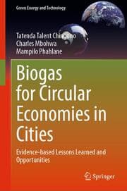 Cover von Biogas for Circular Economies in Cities