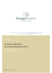 Cover von Verantwortlichkeit im Unternehmensrecht X