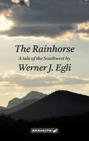 Cover von The Rainhorse