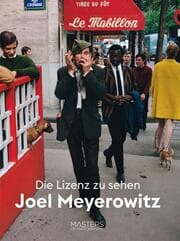 Cover von Lizenz zu sehen: Joel Meyerowitz