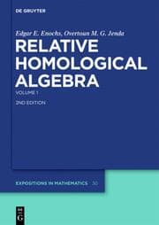 Cover von Relative Homological Algebra 1