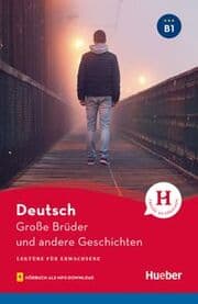 Cover von Große Brüder und andere Geschichten