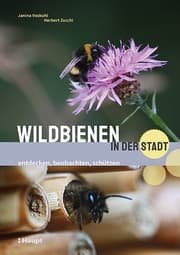 Cover von Wildbienen in der Stadt