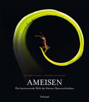 Cover von Ameisen