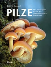 Cover von Pilze