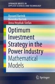 Cover von Optimum Investment Strategy in the Power Industry