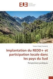 Cover von Implantation du REDD+ et participation locale dans les pays du Sud