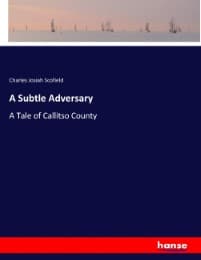 Cover von A Subtle Adversary