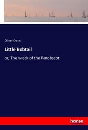 Cover von Little Bobtail