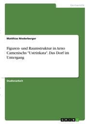 Cover von Figuren- und Raumstruktur in Arno Camenischs 'Ustrinkata'. Das Dorf im Untergang