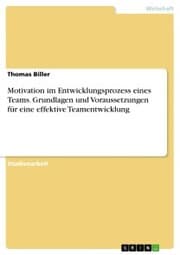 Cover von Motivation im Entwicklungsprozess eines Teams. Grundlagen und Voraussetzungen für eine effektive Teamentwicklung