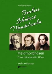 Cover von Brahms, Schubert, Mendelssohn: Melomorphosen - Früchte der Musikmeditation, sichtbar gemachte Informationsmatrix ausgewählter Musikstücke, Gestaltwerkzeuge für Musikhörer; ohne Verwendung von Noten