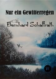Cover von Nur ein Gewitterregen