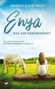 Cover von Enya - Weg zur Geborgenheit