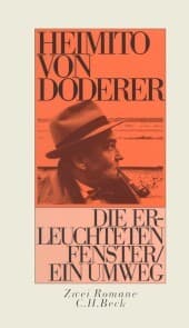 Cover von Die erleuchteten Fenster oder die Menschwerdung des Amtsrates Julius Zihal. Ein Umweg