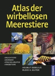 Cover von Atlas der wirbellosen Meerestiere