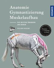 Cover von Anatomie, Gymnastizierung, Muskelaufbau