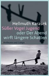 Cover von Süßer Vogel Jugend oder Der Abend wirft längere Schatten