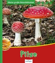 Cover von Pilze