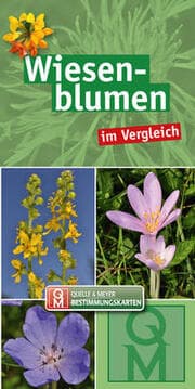 Cover von Wiesenblumen im Vergleich