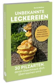 Cover von Unbekannte Leckereien: 30 Pilzarten, deren Geschmack dich überraschen wird