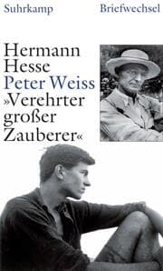 Cover von 'Verehrter großer Zauberer'