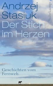 Cover von Der Stich im Herzen