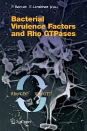 Cover von Bacterial Virulence Factors and Rho GTPases
