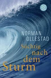Cover von Süchtig nach dem Sturm