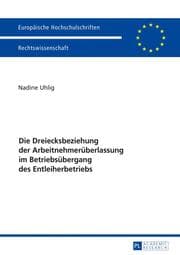 Cover von Die Dreiecksbeziehung der Arbeitnehmerüberlassung im Betriebsübergang des Entleiherbetriebs