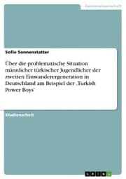 Cover von Über die problematische Situation männlicher türkischer Jugendlicher der zweiten Einwanderergeneration in Deutschland am Beispiel der ¿Turkish Power Boys'
