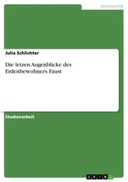 Cover von Die letzen Augenblicke des Erdenbewohners Faust
