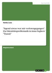 Cover von 'Irgend etwas war mir verlorengegangen'.Zur Identitätsproblematik in Anna Seghers' 'Transit'