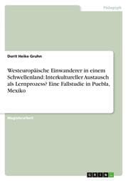Cover von Westeuropäische Einwanderer in einem Schwellenland: Interkultureller Austausch als Lernprozess? Eine Fallstudie in Puebla, Mexiko