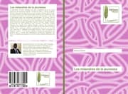 Cover von Les méandres de la jeunesse