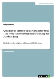 Cover von Qualitatives Erleben und artikulierter Sinn - Die Rede von der religiösen Erfahrung bei Matthias Jung
