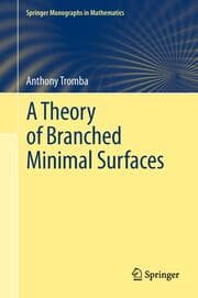 Cover von A Theory of Branched Minimal Surfaces
